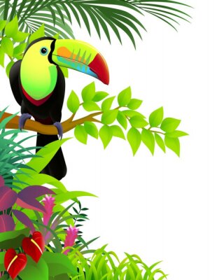 Sticker Toucan Vogel im Dschungel