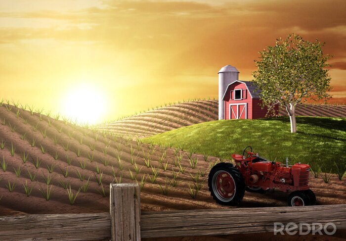 Bild Traktor für Kinderzimmer