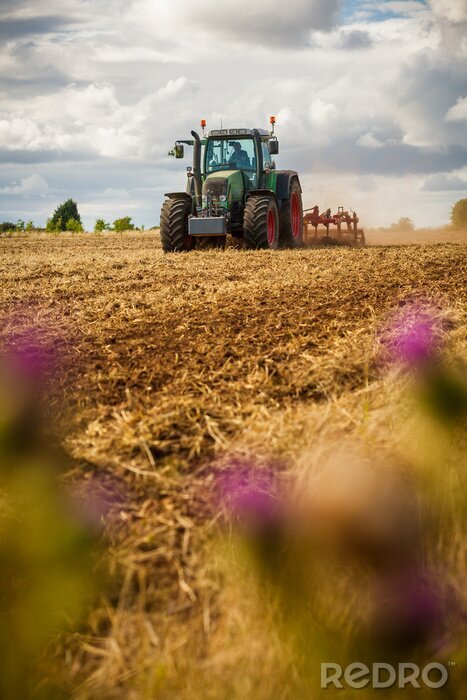 Bild Traktor und Blumen im Vordergrund