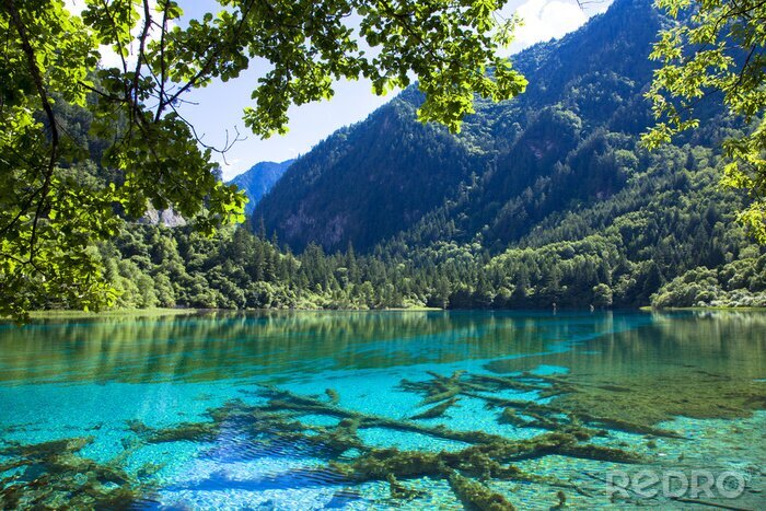 Bild Transparenter See in Asien