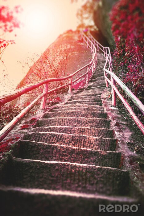 Bild Treppen auf den Berg