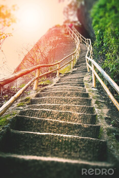Bild Treppen auf den Berg