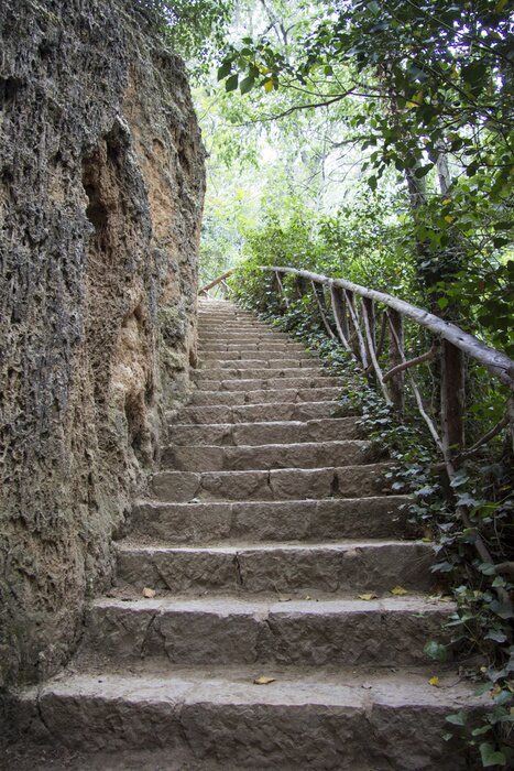 Bild Treppenaufgang im Wald