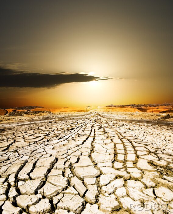 Bild Trockener Feldweg