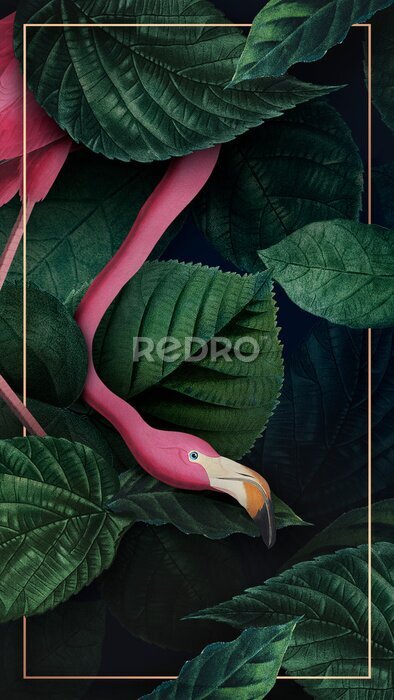 Bild Tropical flamingo on a golden frame