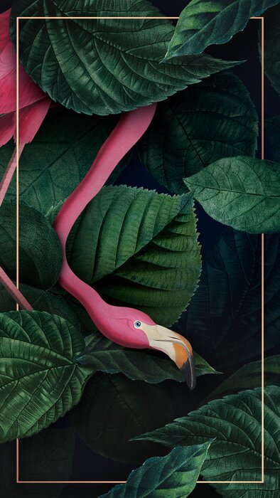 Bild Tropical flamingo on a golden frame