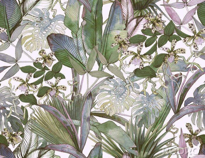 Bild Tropical seamless pattern with tropical flowers, banana leaves.