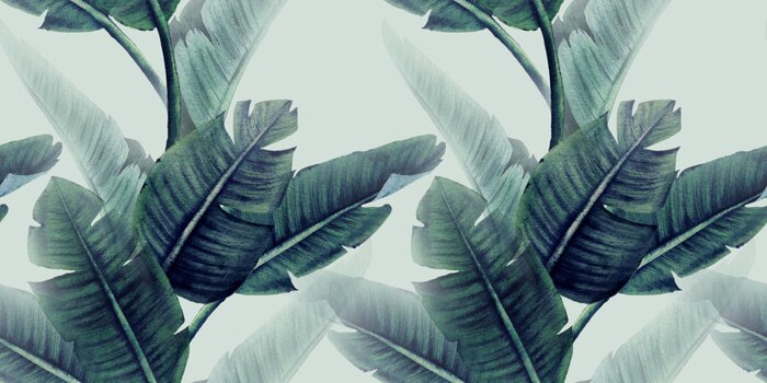 Bild Tropische Blätter auf hellem Hintergrund