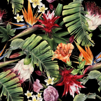 Bild Tropische Blumen auf dunklem Hintergrund