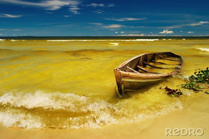 Bild Tropische Landschaft mit Boot