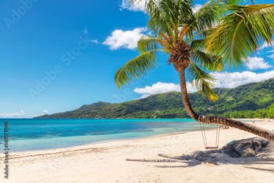 Tropische Landschaft Palmen am Strand auf den Seychellen