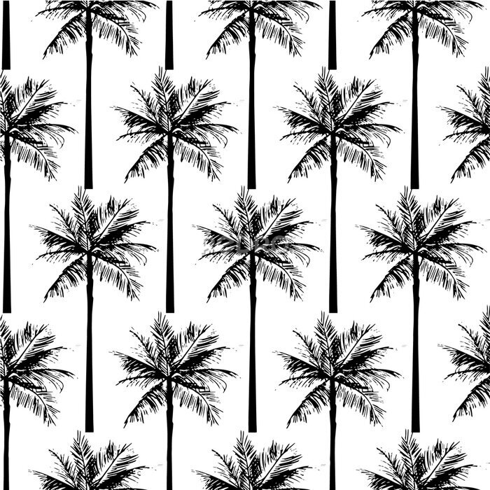 Bild Tropische Palmen auf weißem Hintergrund