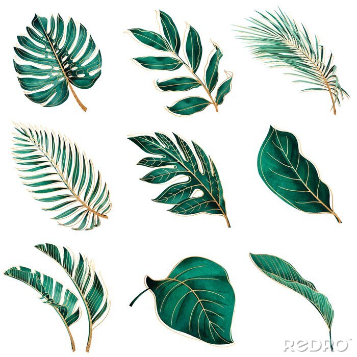 Bild Tropische Pflanzen im Glamourstil