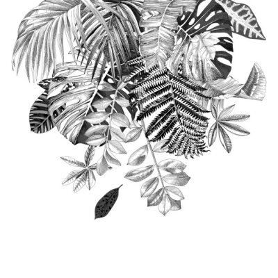 Tropische Pflanzenblätter