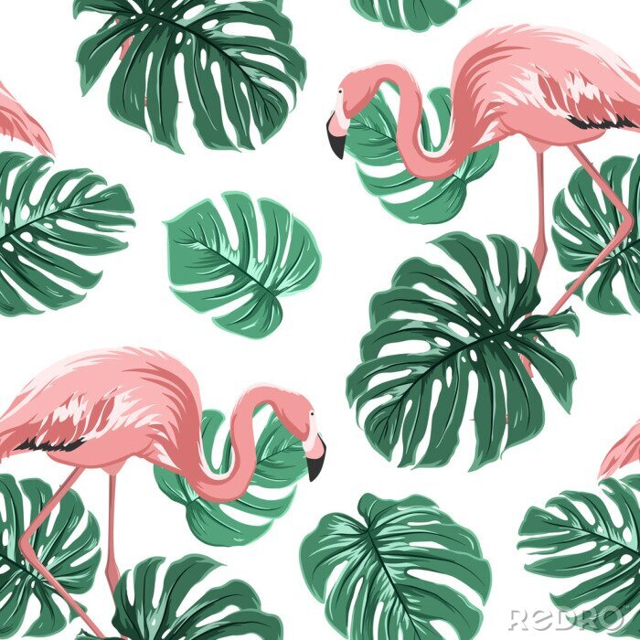 Bild Tropischen Flamingos und Monsterablättern