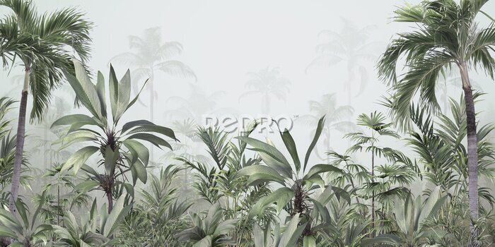 Bild Tropischer Dschungel aus Palmen und Bananenstauden