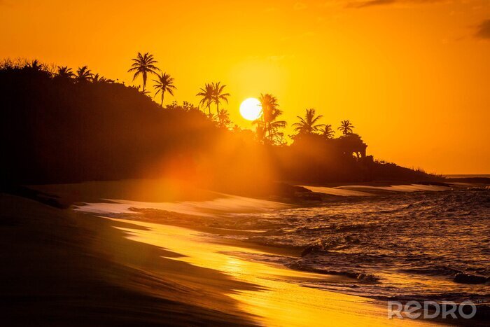 Bild Tropischer Sonnenuntergang und schwarze Palmen