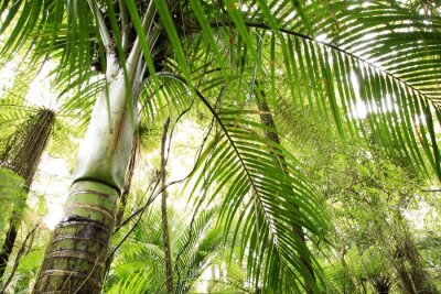 Tropischer Wald und Bambus