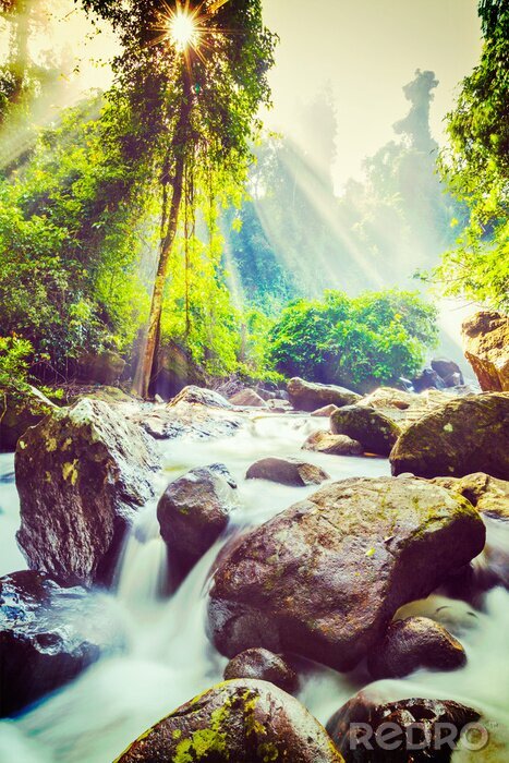 Bild Tropischer Wasserfall Retro