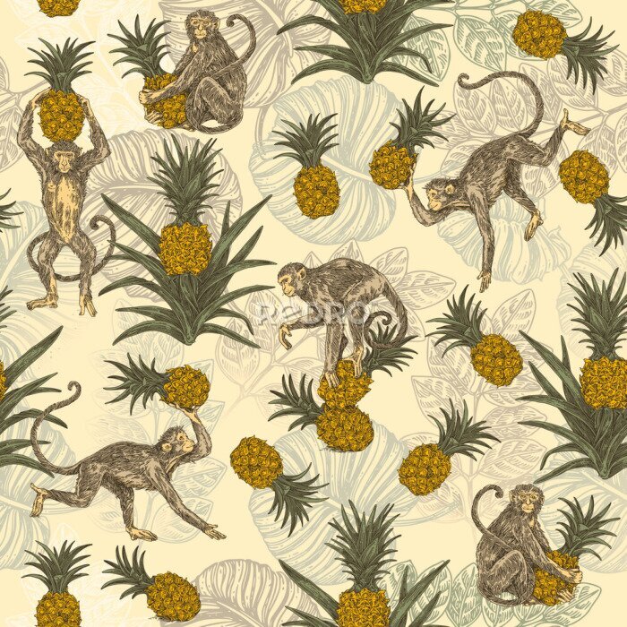 Bild Tropisches Design mit Affen mit Ananas