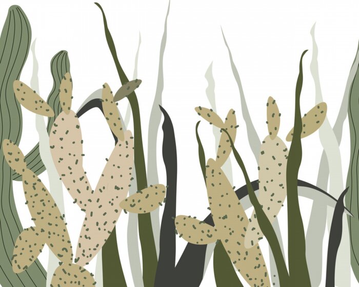 Bild Tropisches Muster mit Kakteen auf weißem Hintergrund