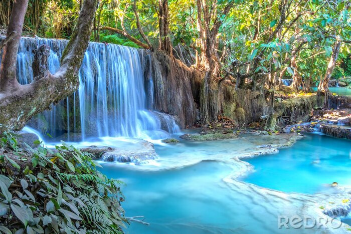 Bild Türkisfarbener Wasserfall im Nationalpark