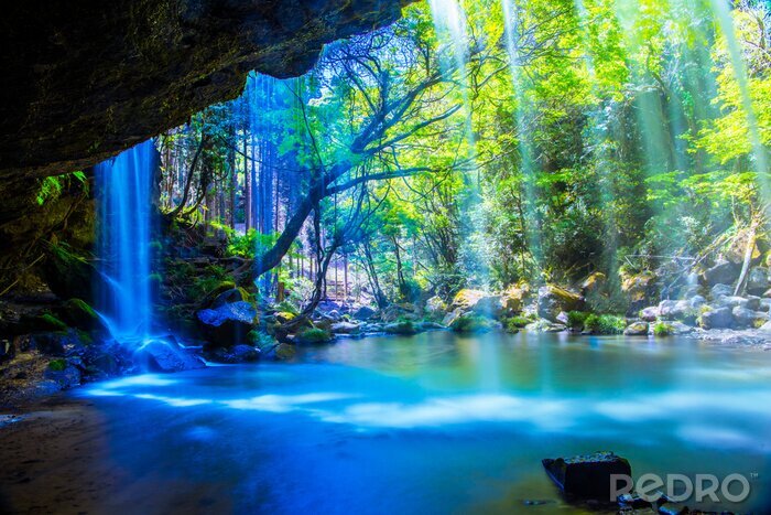 Bild Türkisfarbener Wasserfall im Wald