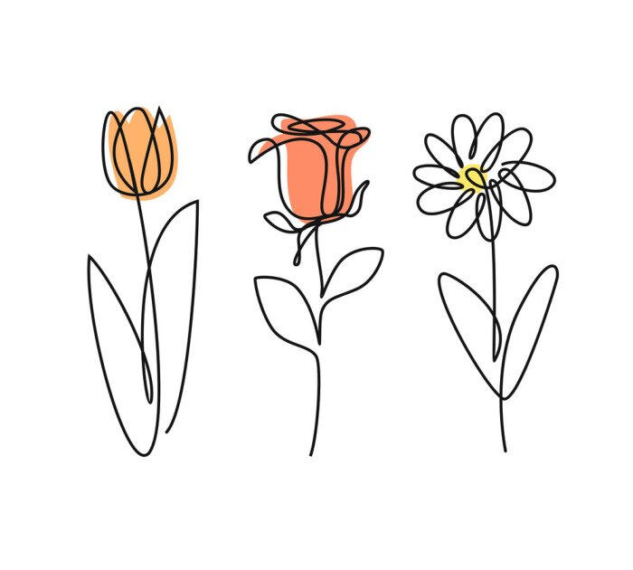 Bild Tulpe, Rose und Gänseblümchen in einem minimalistischen Design