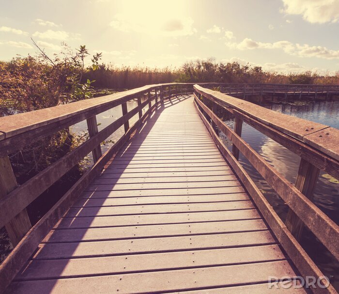 Bild Über Fluss abbiegende Brücke