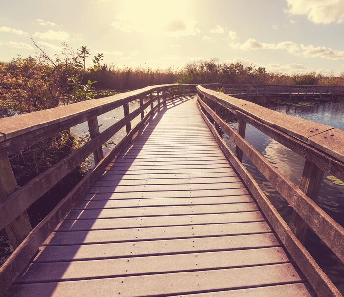 Bild Über Fluss abbiegende Brücke