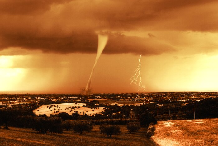 Bild Unbändige Natur