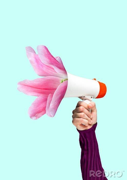 Bild Uniques Megaphon mit Blumen