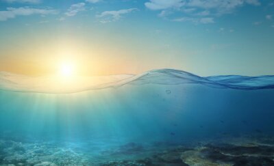 Sticker Unterwasser-Hintergrund