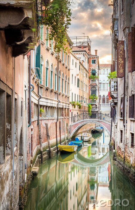 Bild Venedig und farbenfrohe Gondeln