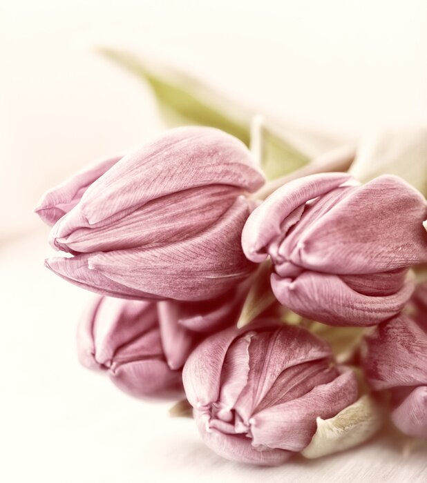 Bild Verblühte Blumen auf dem Tisch