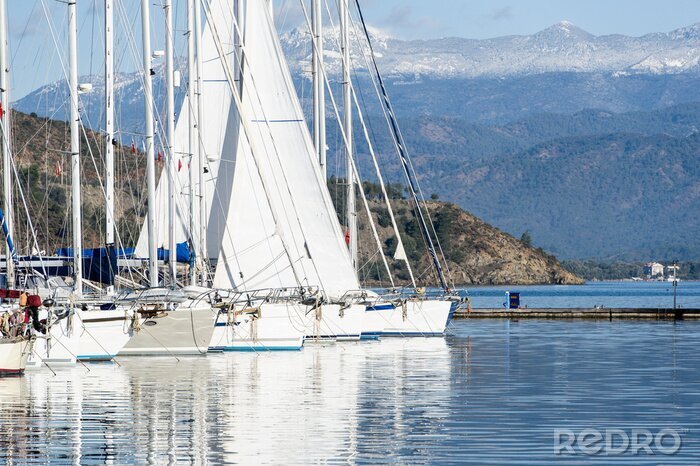 Bild Vertäute Segelboote