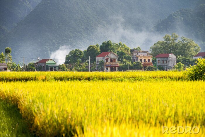 Bild Vietnamesische Stadt in Asien