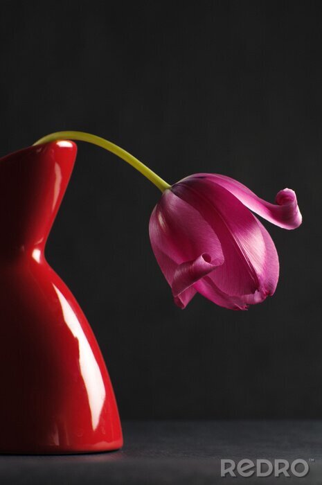 Bild Violette Blume in einer glänzenden Vase