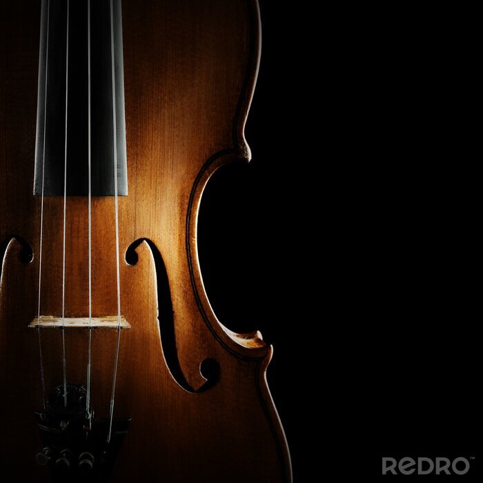 Bild Violin-Detail Instrument aus nächster Nähe