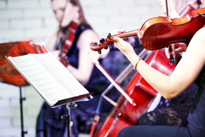 Bild Violinistinnen mit Instrumenten