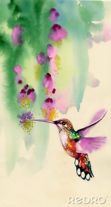 Bild Vogel bei den Blumen in Aquarell