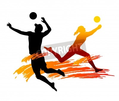 Bild Volleyball Frau und Mann mit Ball