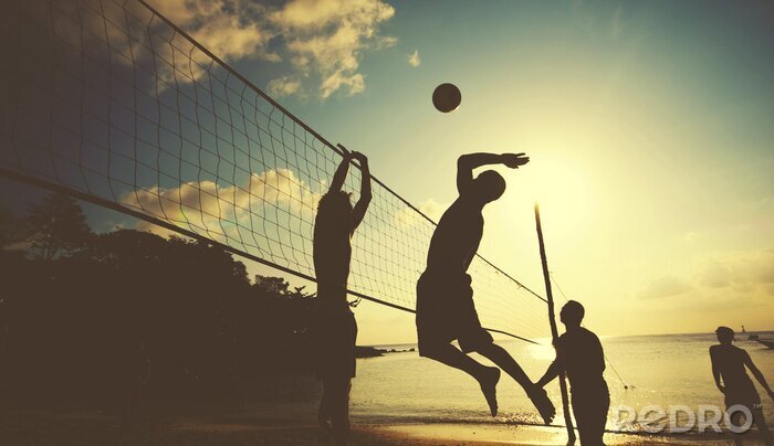 Bild Volleyball Spieler beim Netz