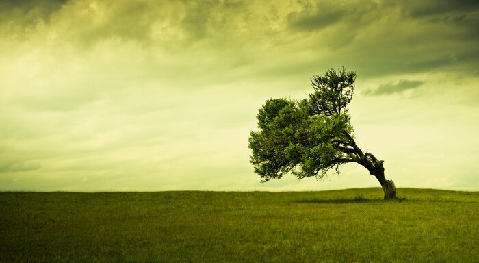 Bild Von der Natur inspirierte Darstellung