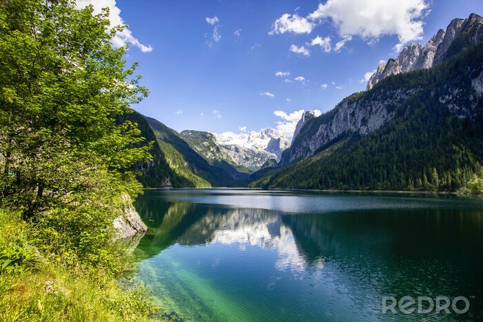 Bild Von Natur umgebene Berge