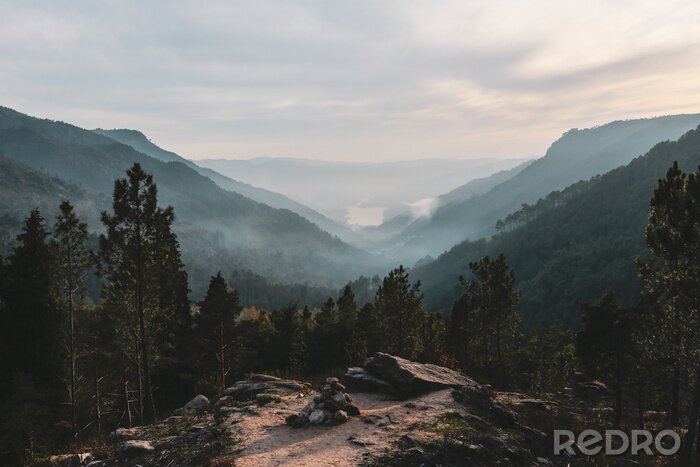 Bild Wald auf dem Hintergrund von Hügeln im Nebel