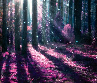 Bild Wald mit rosa Licht