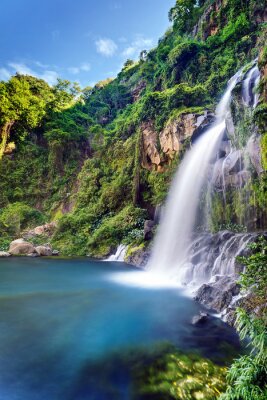 Waldlandschaft mit Wasserfall