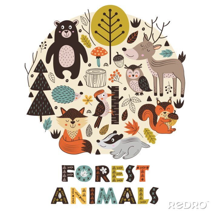 Bild Waldtiere und Waldpflanzen