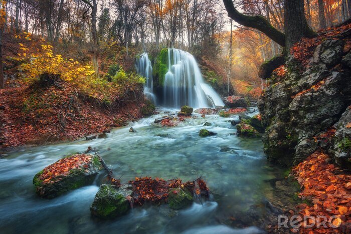 Bild Waldwasserfall im Herbst